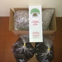 Small worm farm starter